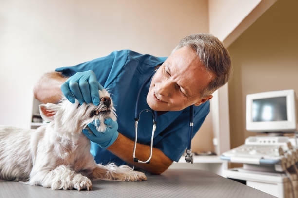 Best Emergency Wisdom Teeth Removal in Cinco Ranch, TX